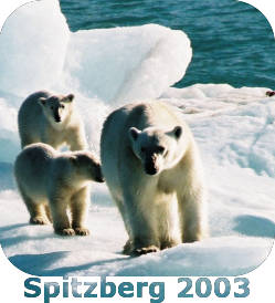 ouvrir mon carnet Spitzberg 2003
